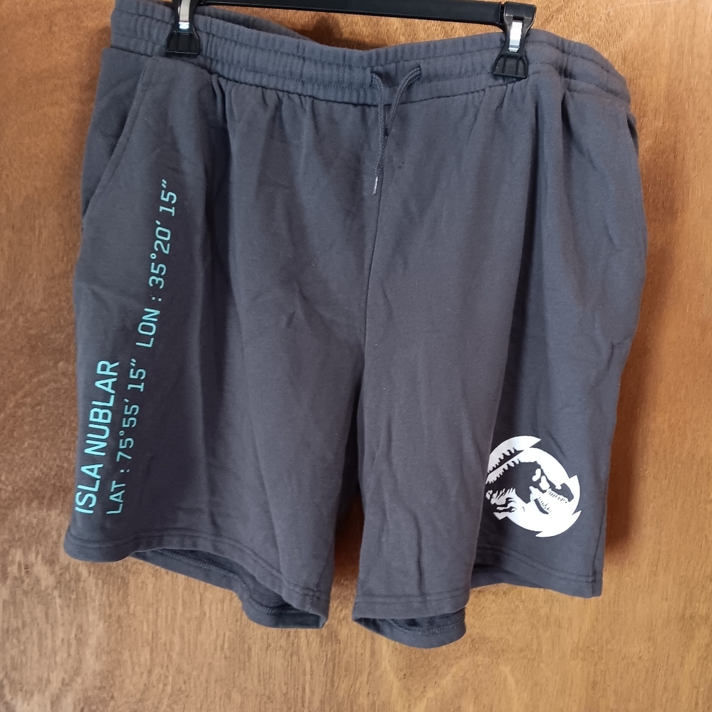 Jurassic World Gray Isla Nublar Men's Shorts